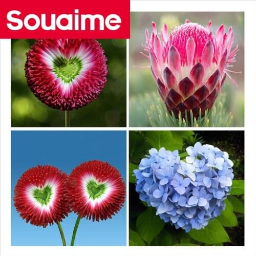 SOUAIME Home And Garden Products