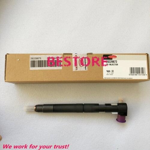 Genuine and New common rail injector 28229873 for 33800-4A710 ,338004A710 IN STOCK