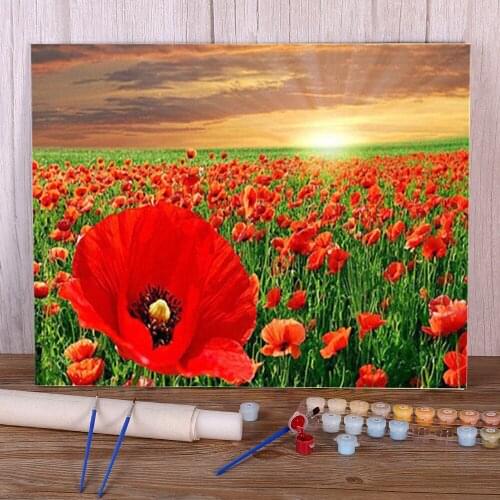 Poppy Flower DIY Painting By Numbers Set Acrylic Paints 40*50 Painting On Canvas Handmade For Adults Handicraft Wholesale Art