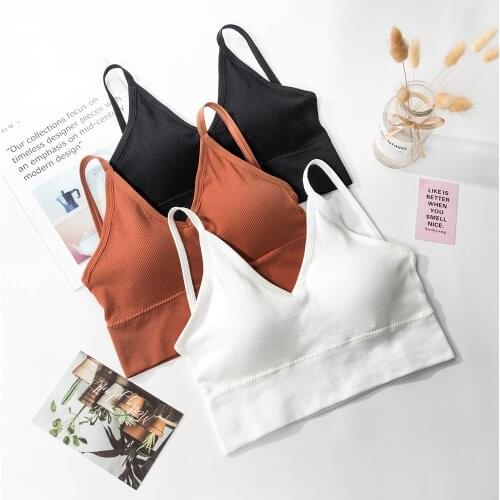 2 Pcs Padded Bra Sexy Womens Crop Tops Vest Bustier Beach Tank Tops Lady Summer Lace Sexy Lingerie Intimate 7 Colors Combination