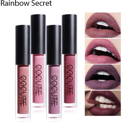 Rainbow Secret Matte Lip Gloss