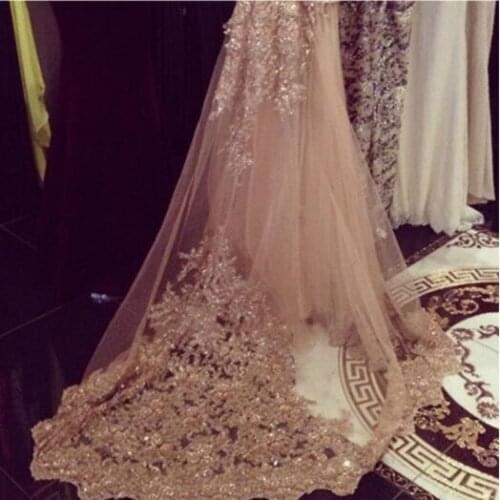 Luxury One Layer Cathedral Wedding Veils Gorgeous White/Ivory Lace edge Applique Bridal Veil With Comb