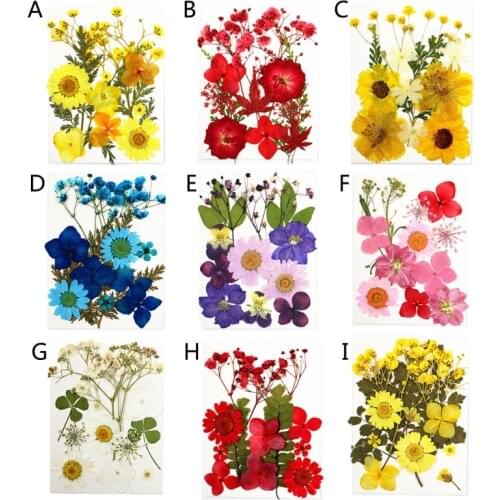 12Pcs Pressed Dried Flowers for Resin Natural Dried Flower Herbs kit for Resin Jewelry Making Soap and Candle Making