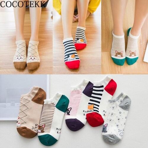 COCOTEKK 5Pair/Lot 2018 Cool Summer Cute Striped Animal Combed Cotton Women Socks Cat Cartoon Cotton Funny Casual Socks Set Gift