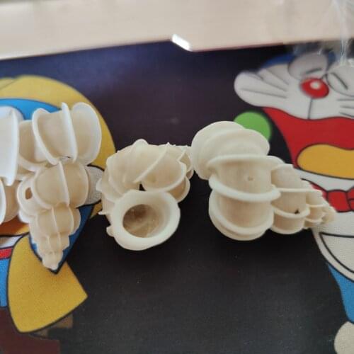 Natural conch shell decoration home