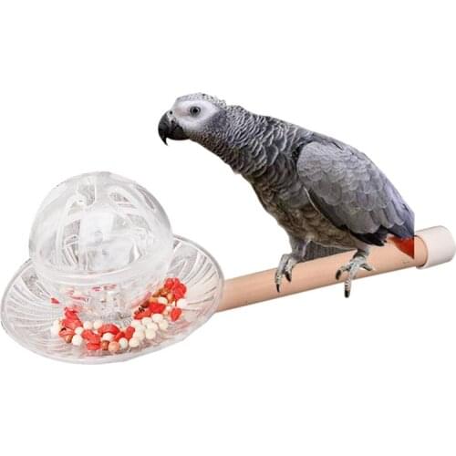 Legendog 1pc Creative Bird Feeder With Training Ball Bird Foraging Toy Parrot Hanging Toy With Perch Pet Feeding Supplies