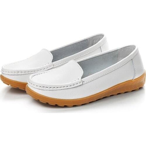 Armiciya Women's Loafers