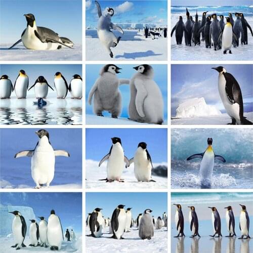 14/16/18/22/25/28ct 11CT Printing Embroidery Sale Animals Penguin Cross Stitch Kit Layout Home Decoration