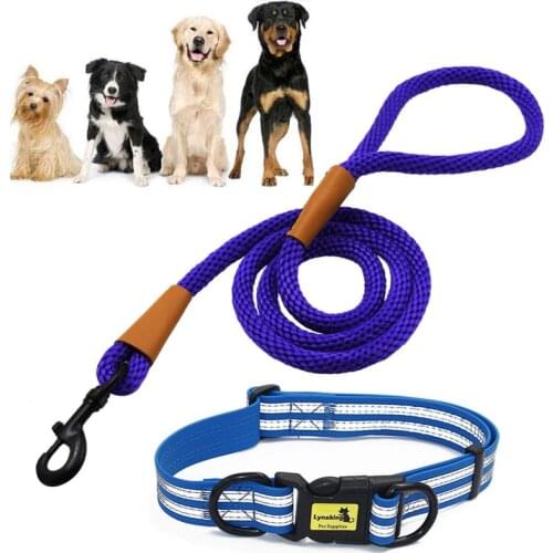 PVC Waterproof Pet Dog Collar Reflective Adjustable Anti-dirty Easy Clean High Quality Dog Leash for Small Big Dog Puppy