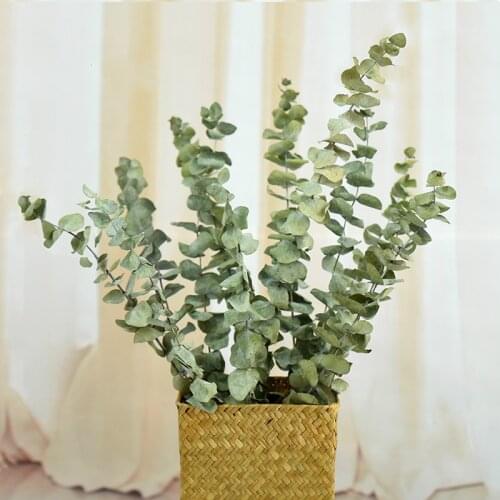 12 pcs Denisfen Dried Flowers Eucalyptus Leaf Natural Plants Decorative Floral Flores secas Party Home Decoration Ornaments