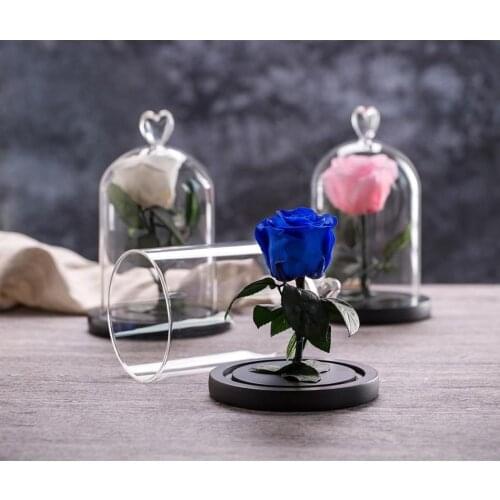 Beauty And The Beast Preserved Valentines Day Gift Exclusive Rose In Glass Dome With Lights Eternal Real Rose Mothers Day Gif
