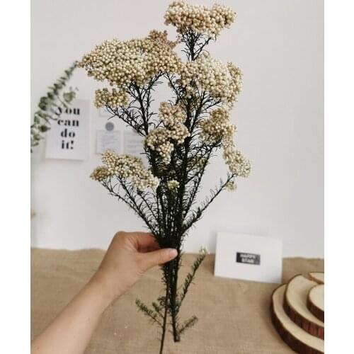 10pcs Natural Dried Immortal Millet Flower mixed color Ramillete Flores Eternell Millet Flower Bouquet For Home Decor