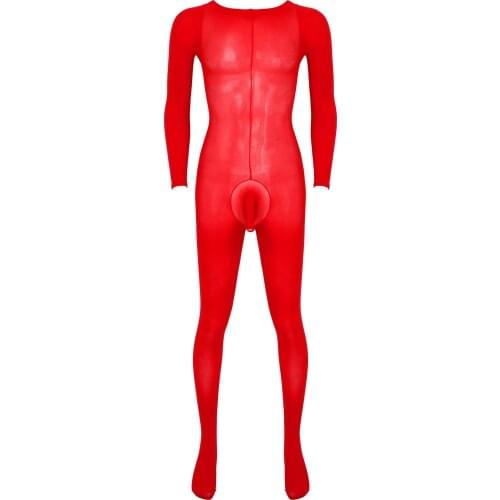 Men Bulge Pouch Leotard Bodystocking Leggings Long Sleeve Round Neck Bodysuit See-through Sexy Jumpsuit for Lingerie Party