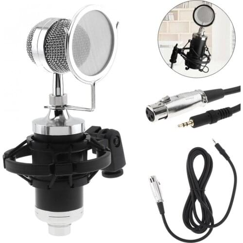 Profession CY-F2000 Condenser Sound Recording Microphone With Shock Mount For Radio Braodcast / Singing Recording / KTV Karaoke
