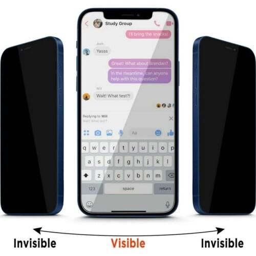 30 Degree Anti-Spy 9H Privacy Glass Silk Screen Protector for iPhone 12 pro max mini 5.4 6.1 6.7 11 X Xs Max Xr 8 7 Plus 100pcs