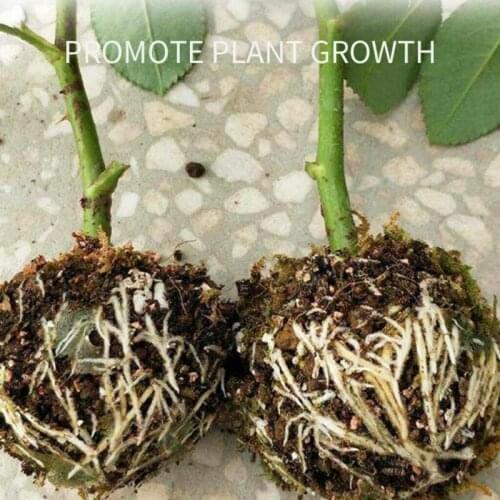 Plant Rooting Equipment High-pressure Transmission Ball High-pressure Box Transplantation Nursery Trays & Lids