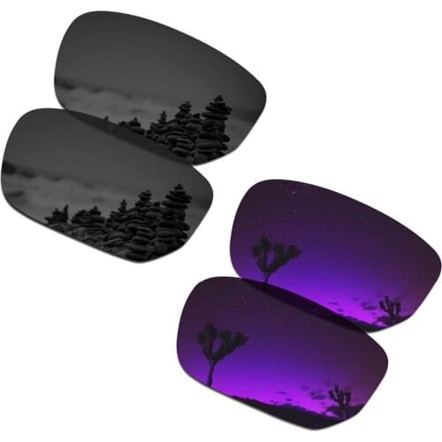 SmartVLT 2 Pairs Polarized Sunglasses Replacement Lenses for Oakley Style Switch Stealth Black and Plasma Purple