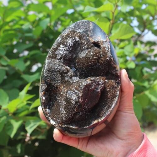 1890g Natural curvature of the furnishing articles Turtle grain stone egg Ball Septarian nodule Fossil Crystal Healing quartz