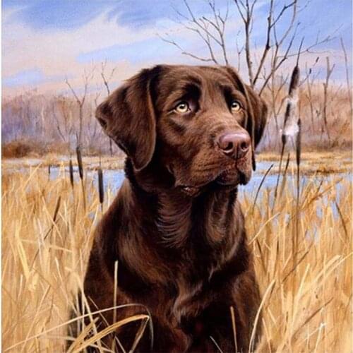 5D Diamond Painting Kits for Adults Kids, DIY Square Round Dog Full Drill Rhinestone Art Craft for Home Wall Decor