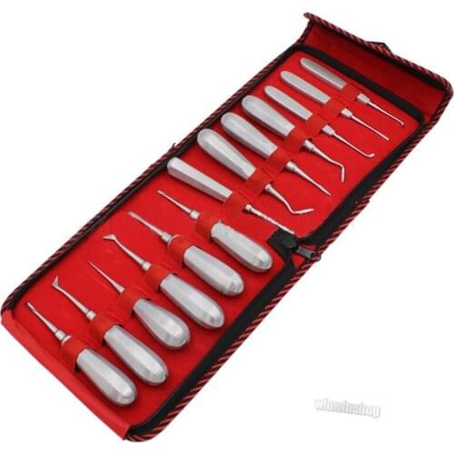 13Pcs Dental Luxating Lift Elevator Teeth Clareador Curved Root Stainless Steel Hexagon Handle Dentist Surgical Instrument Tool