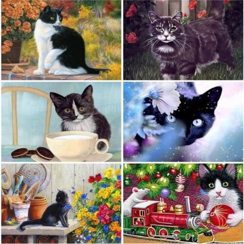 PhotoCutom Paint By Numbers Black Cat DIY 60x75cm Oil Painting By Numbers On Canvas Animal Frameless Digital Hand Painting Wall