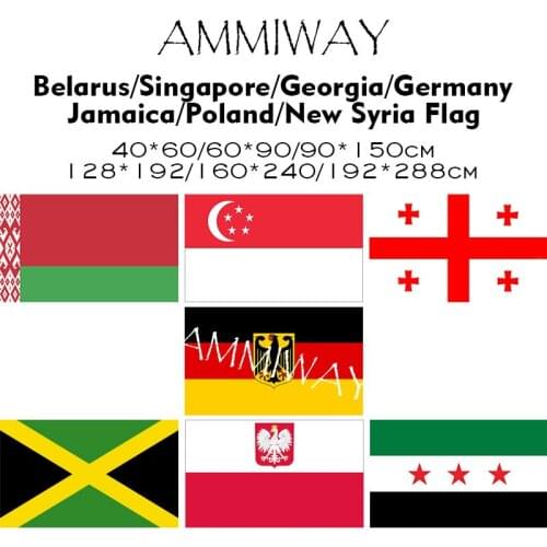 AMMIWAY Any Size Belarus Singapore Georgia Germany Jamaica Poland New Syria World National Single Double Flags and Banner