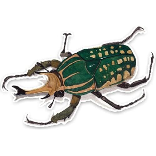 LLY-1091 Lovely Stag Beetles Car Sticker PVC Personality Motorcycle Cars Accessories Decoration High Quality Waterproof Decal