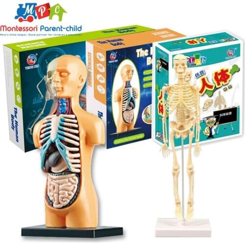Montessori Parent-child Educational Toys