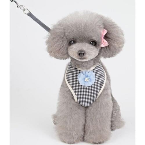 New summer light patterned pet harness with soft leash