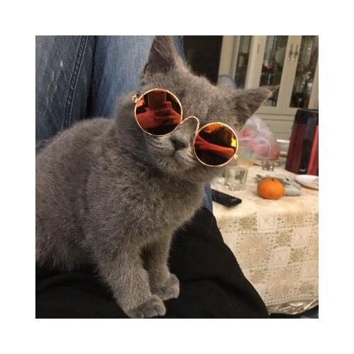 Cat Glasses Dog Sunglasses Funny Headwear Outdoor for Taking Pictures Cool Handsome Pet Accessories