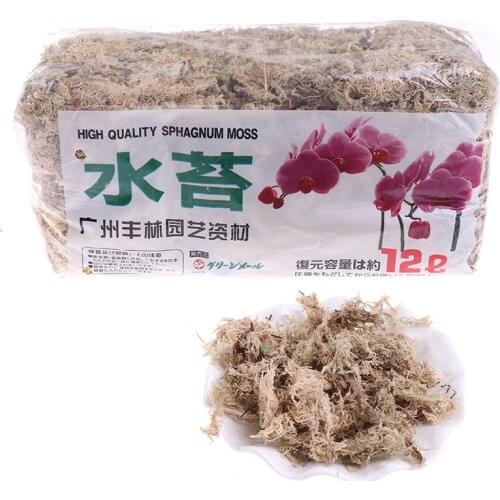 120g Sphagnum Moss Moisturizing Organic Fertilizer Protect Orchid Plant Roots DIY Flower Pot Home Garden