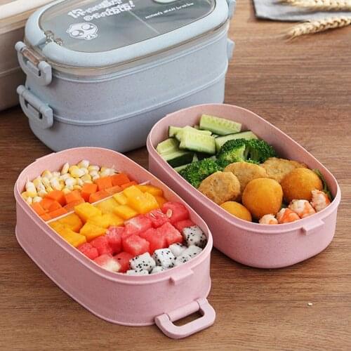 2 Tier Bento Lunch Box Microwave Food Container for Office Picnic Travel