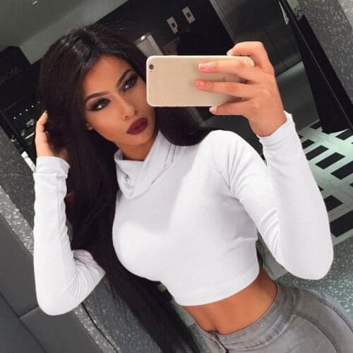 Hot Women Casual Turtle Neck T-shirt Ladies Long Sleeve Plain Short Stretch Tee Crop Top
