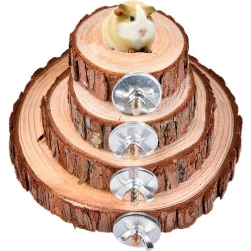 Cute Squirrel Hamster Parrot Bird Wooden Board Jumping Platform Pet Stand Play Toy