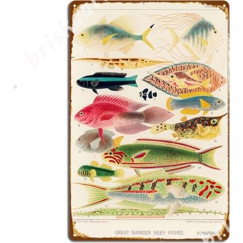 Vintage Great Barrier Reef Fishes Metal Signs Wall Mural Living Room personalized Wall Decor Tin sign Posters