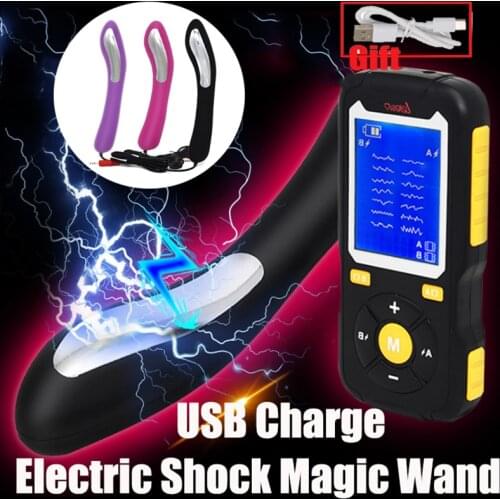 USB Charge Host,SM Electro Shock Wand Sex Kit,Electro Orgasm Dildo Vibrator Anal Vagina Stimulator Sex Toy For Couple Masturbate