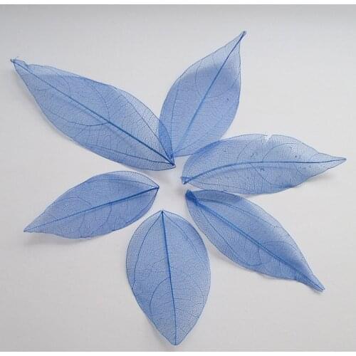 Free shipping Wholesale 100pcs Dark blue color Natural skeleton leaves for DIY 3-7cm 014005012