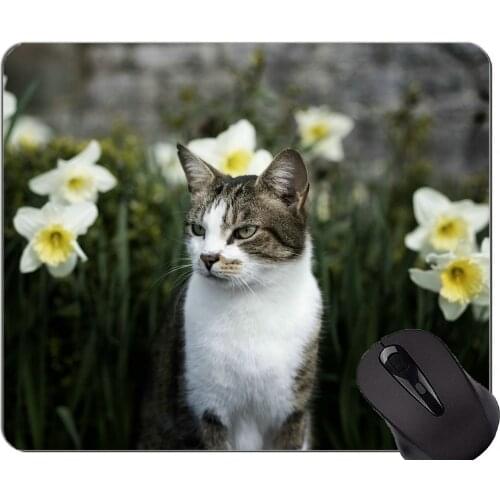 Mouse Pad with Stitched Edge,Pet animal daffodil cat flower Non-Slip Rubber Base Mousepad