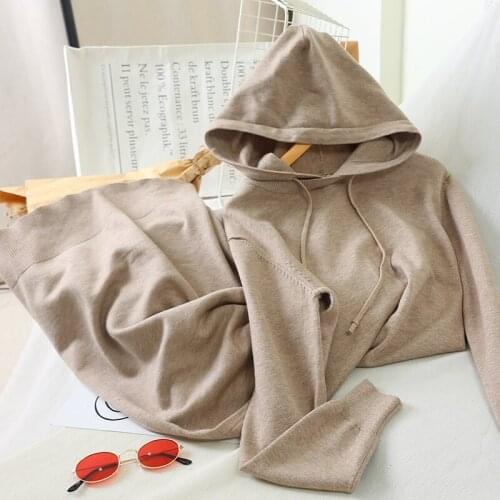 Sanishroly Autumn Winter Women Hooded Sweater Dress Long Sleeve Knitted Dresses Female Casual Long Dress Vestidos Plus Size S872
