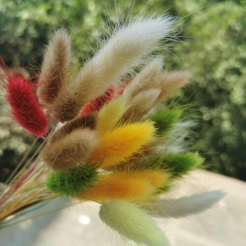 40pcs/25cm,Natural colorful Rabbit Tail grass branch,Real Dried Flower DIY Wedding Party Display arrange flowers,Home Decoration