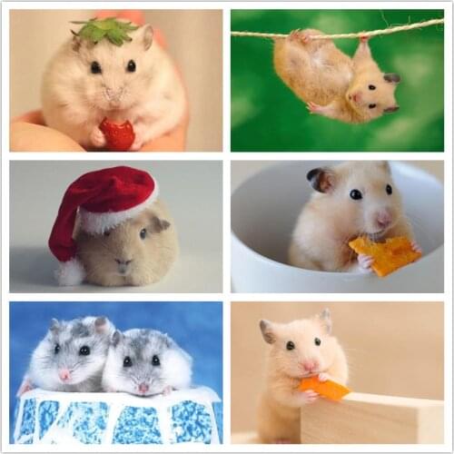 Square Diamond Painting Hamster 5d Diy Animal Diamond Embroidery Cross Stitch Kit Handmade Gift Home Decoration