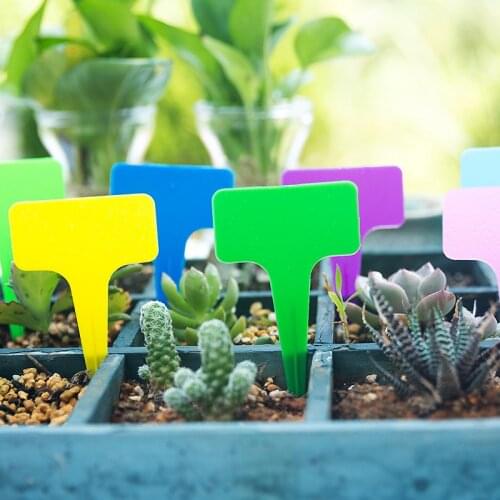 6x10cm T-Type Garden Plant Tags Colorful Waterproof Label Gardening Flowers Succulent Markers Bonsai Nursery Stake