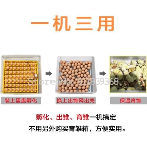 Incubator Automatic Household Small 48 Pieces Of Chicken Duck Goose Quail Pigeon Egg Incubator Incubator