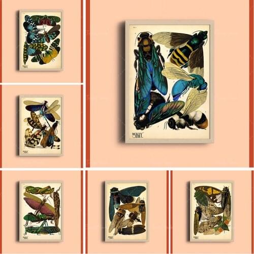1924 Eugène Séguy Print - Vintage Insects Illustration - Art Deco Poster - Pattern Art Print Nature Wall Art - Bug Art