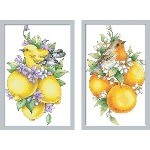 Fruit Birds Cross Stitch Patterns Embroidery Kits Printed Fabric Needlework Sets 11CT 14CT Diy Crafts Home Decorations Paintings