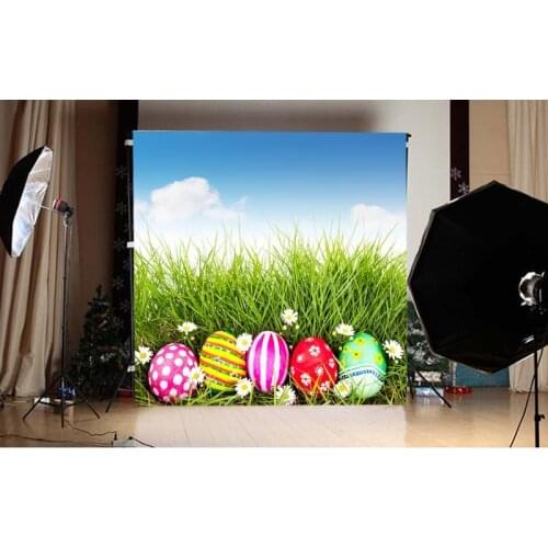 Easter Background Eggs Lawn Daisy Light Sky Photo Background Photographic Camera Backdrops for Photo Studio Spring Children Prop