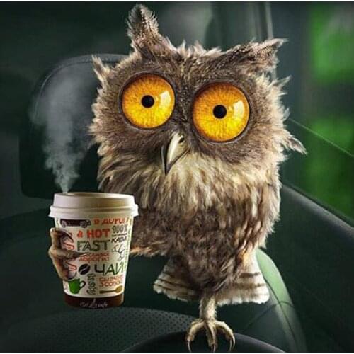 Diy 5D Diamond Embroidery Animal Owl Full Set Diamond Mosaic Cute Owl Round/Square 5D Diamond Painting Cross Stitch Kits FG1724