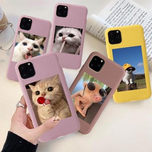 Cartoon Cat Pig Phone Case For iPhone 11 12 Pro Max Cases For iPhone 11Pro XS XR 8 7 6S Plus SE 2020 Soft TPU Back Cover Shell