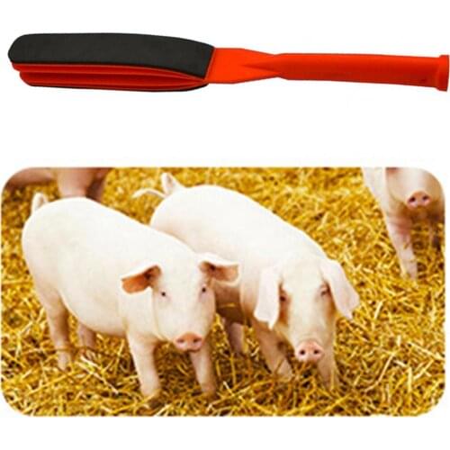 Ametabolic Thickened Sponge Pig Crop Bat Whip Sturdy Structure Pig Crop Hanging Hole for Home