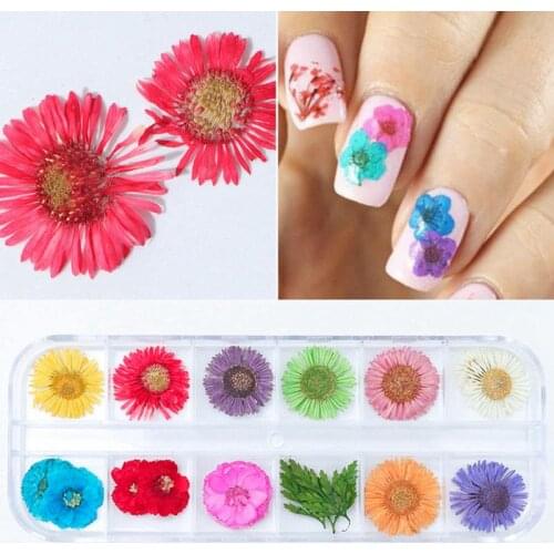 2 Boxes Kapmore Nail Dry Flower 12-grid DIY Nail Art Natural Flower Manicure Decor Craft Flower Summer Style Nail Sticker